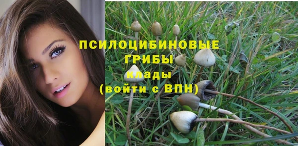 стаф Россошь
