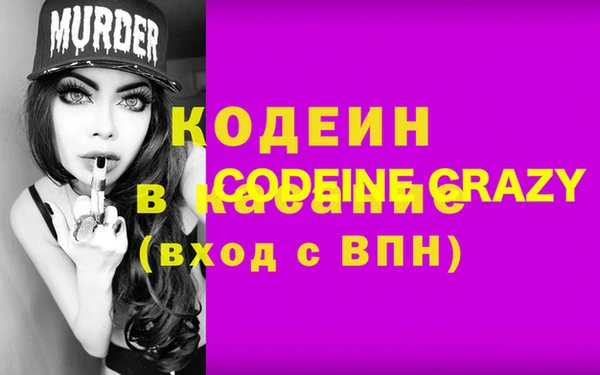 хмурый Алексин
