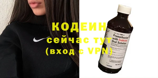 хмурый Алексин