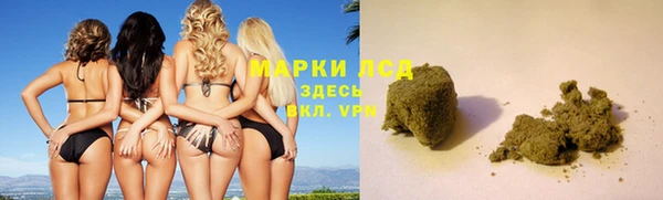 хмурый Алексин