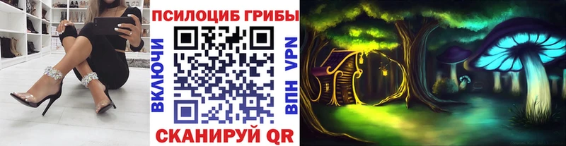 Галлюциногенные грибы MAGIC MUSHROOMS  Киреевск 