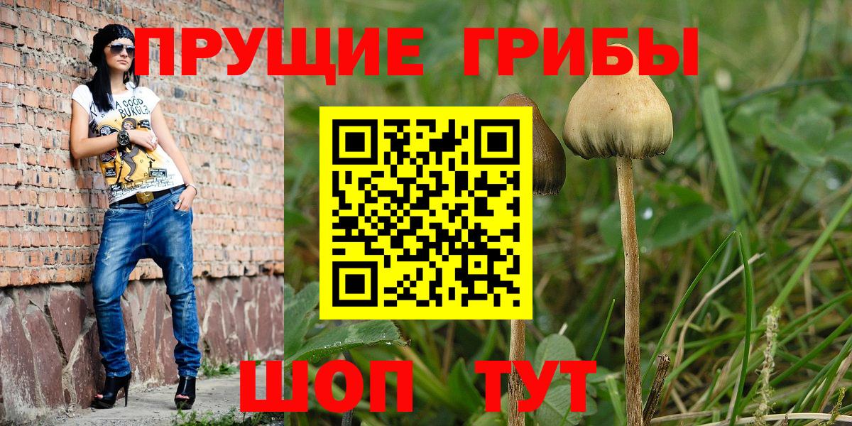 Псилоцибиновые грибы MAGIC MUSHROOMS Киреевск